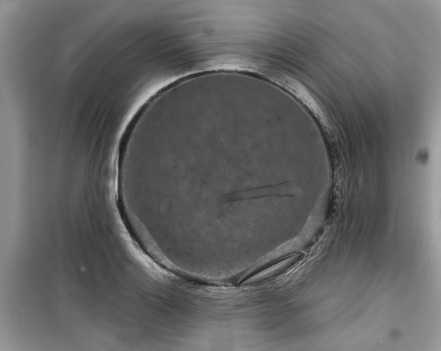 X0000099571132200805161510
