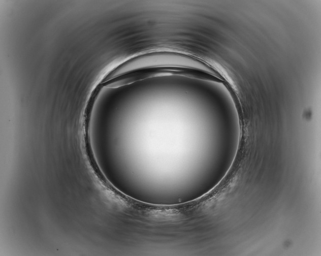 X0000099571133200805161510