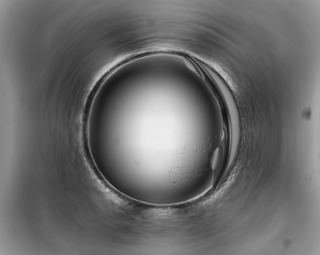 X0000099571134200805161510