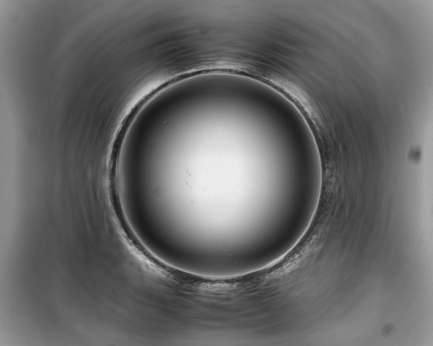 X0000099571135200805161510