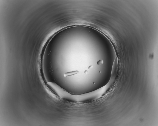 X0000099571136200805161510