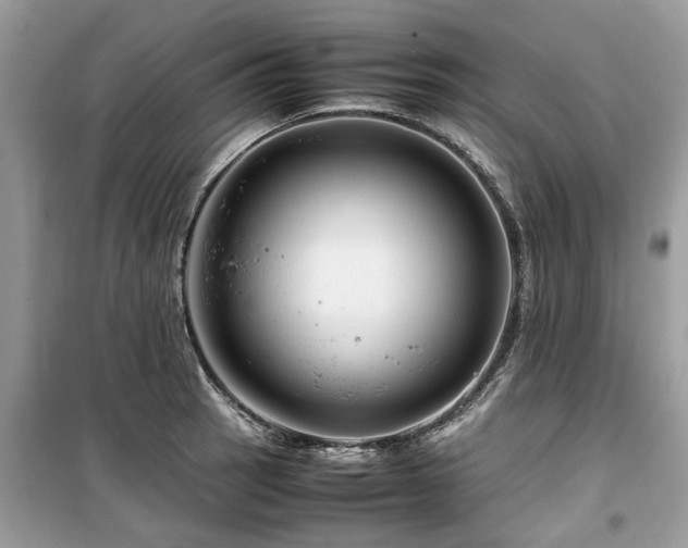 X0000099571137200805161510