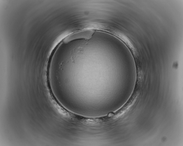 X0000099571138200805161510