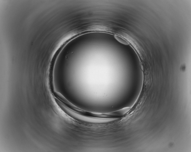 X0000099571139200805161510