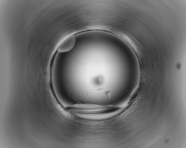 X0000099571140200805161510