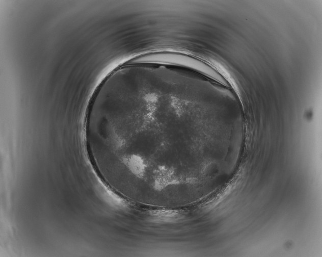 X0000099571141200805161510