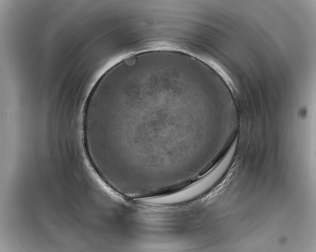 X0000099571142200805161511
