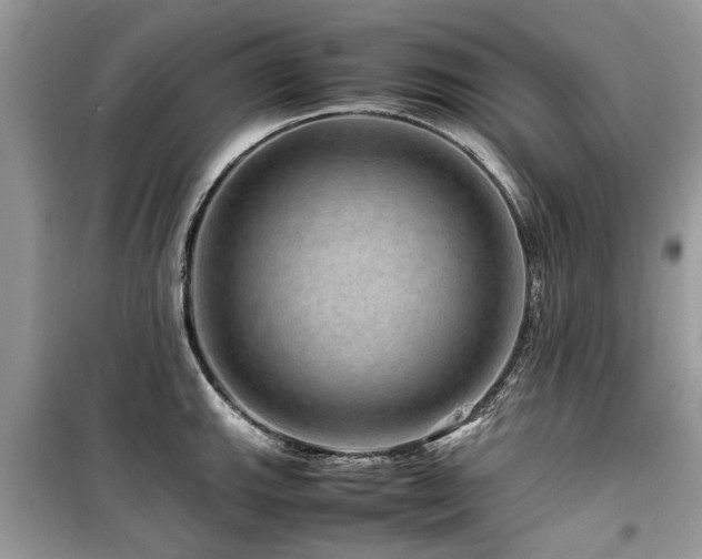 X0000099571143200805161511