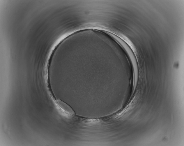 X0000099571144200805161511
