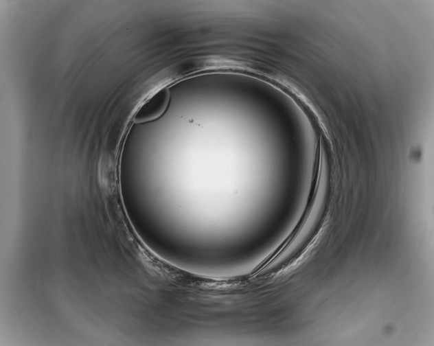 X0000099571145200805161511