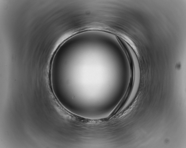 X0000099571146200805161511