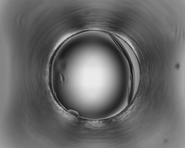 X0000099571147200805161511