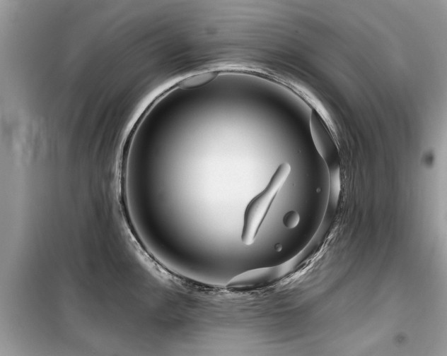 X0000099571148200805161511