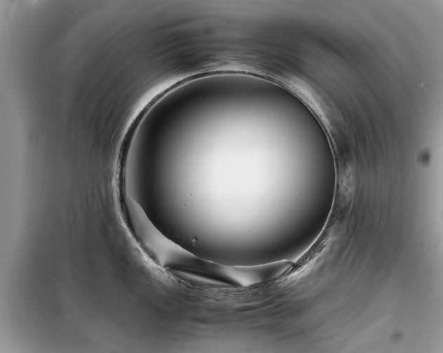 X0000099571149200805161511