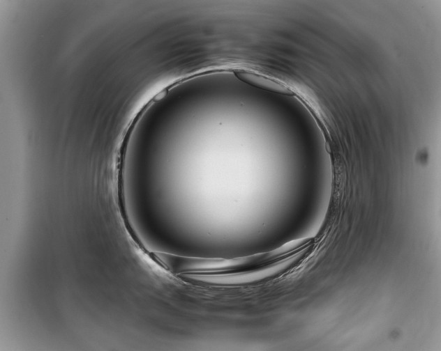 X0000099571151200805161511