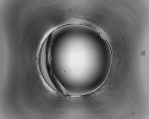X0000099571152200805161511