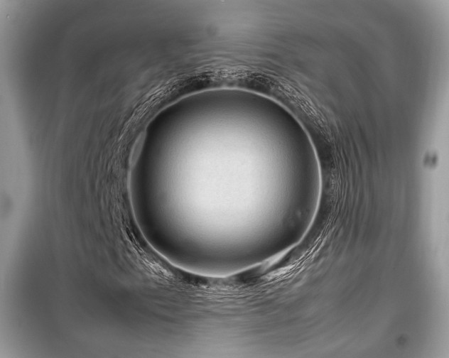 X0000099571153200805161510