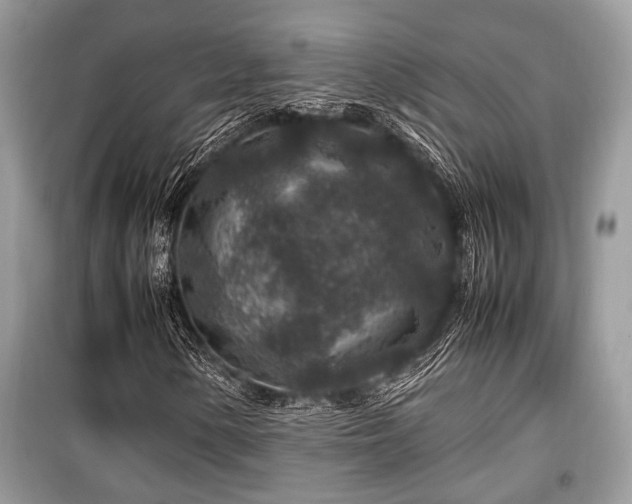 X0000099571154200805161510