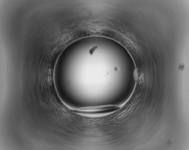 X0000099571156200805161510