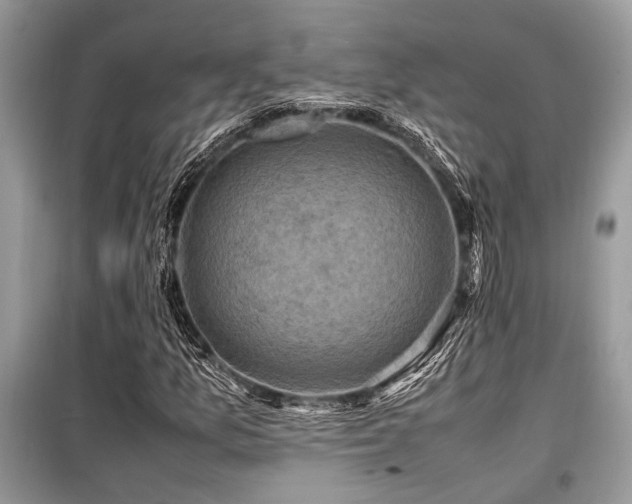 X0000099571157200805161510