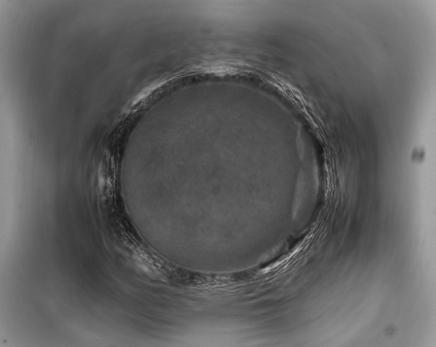 X0000099571158200805161510