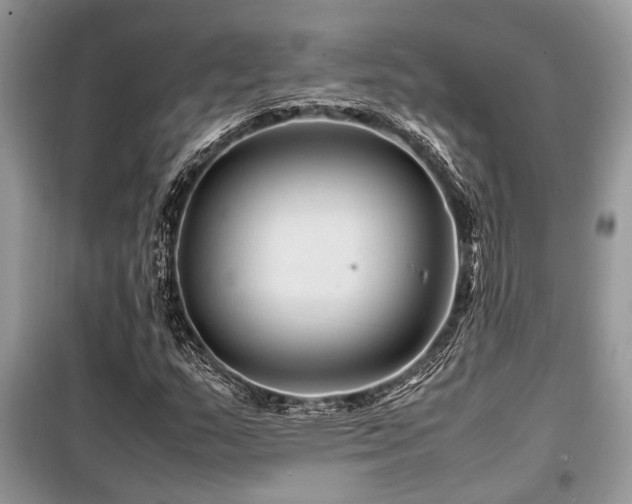 X0000099571159200805161510