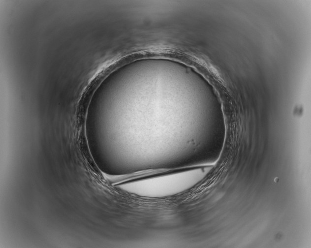 X0000099571160200805161510