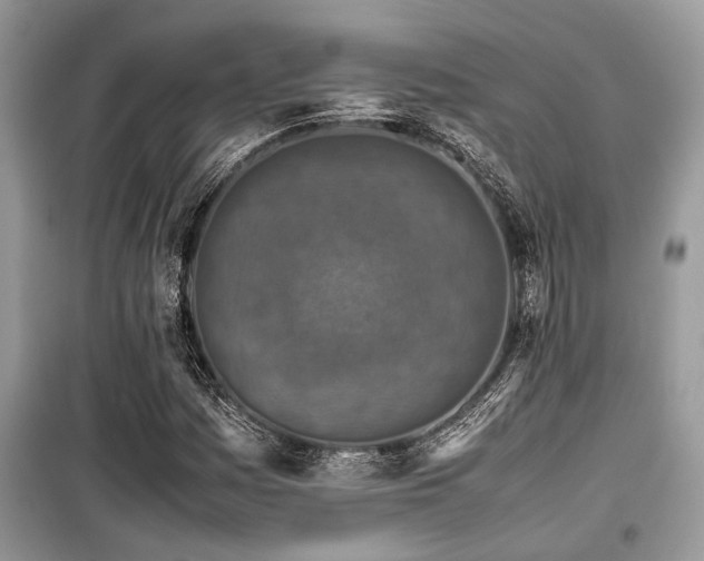 X0000099571161200805161510