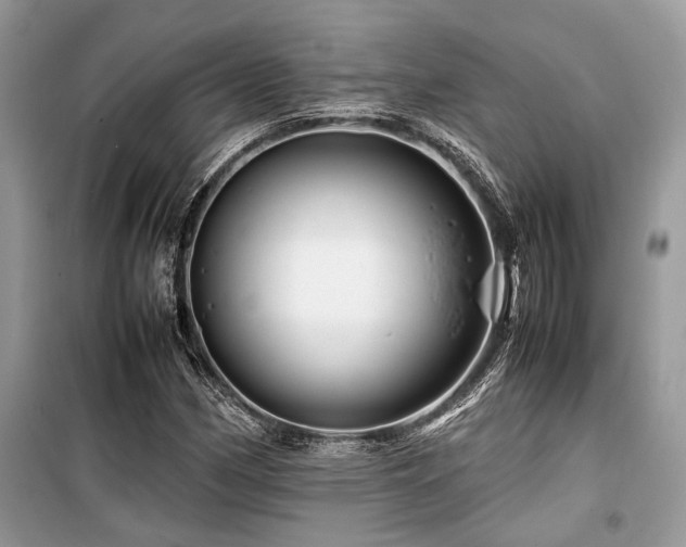 X0000099571162200805161510