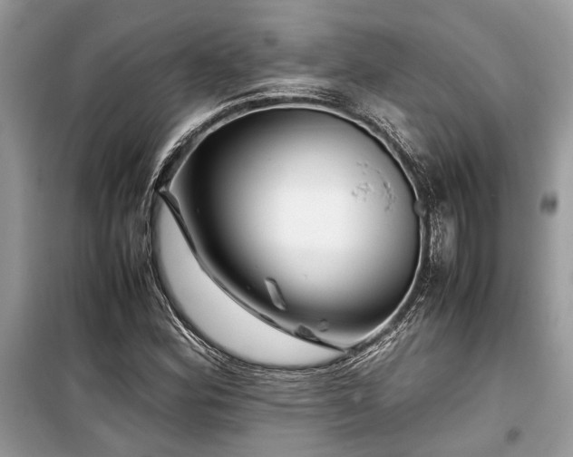 X0000099571164200805161510