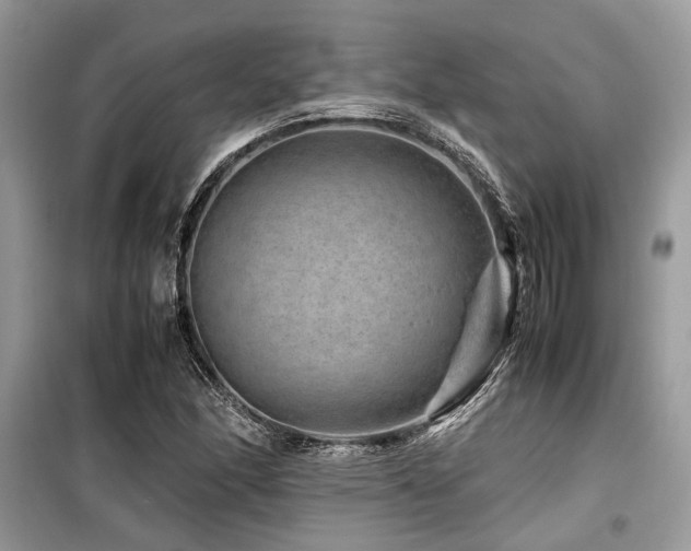X0000099571166200805161510