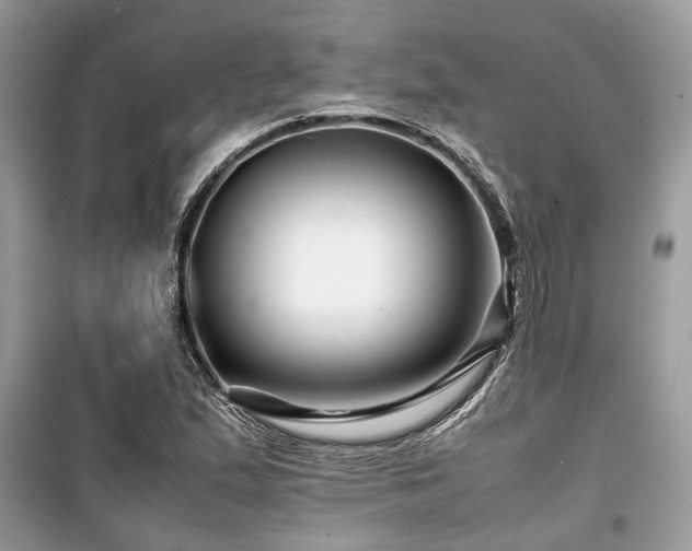 X0000099571167200805161510