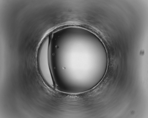 X0000099571168200805161510