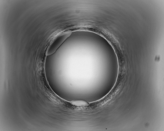 X0000099571169200805161510