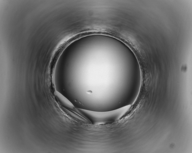 X0000099571172200805161510