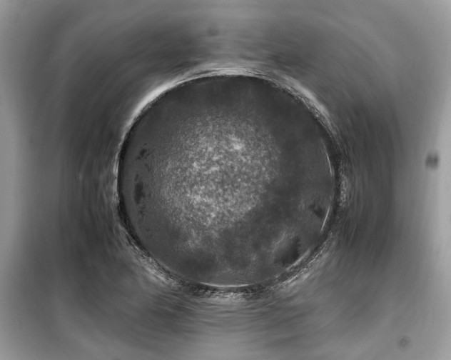 X0000099571174200805161510