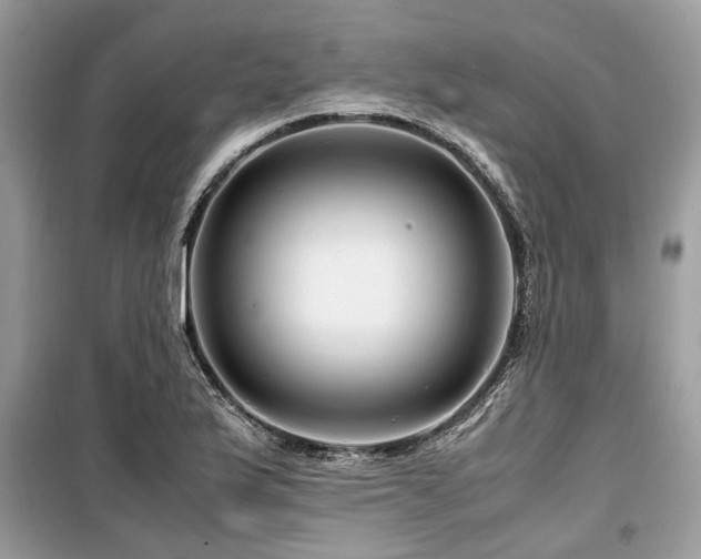 X0000099571175200805161510