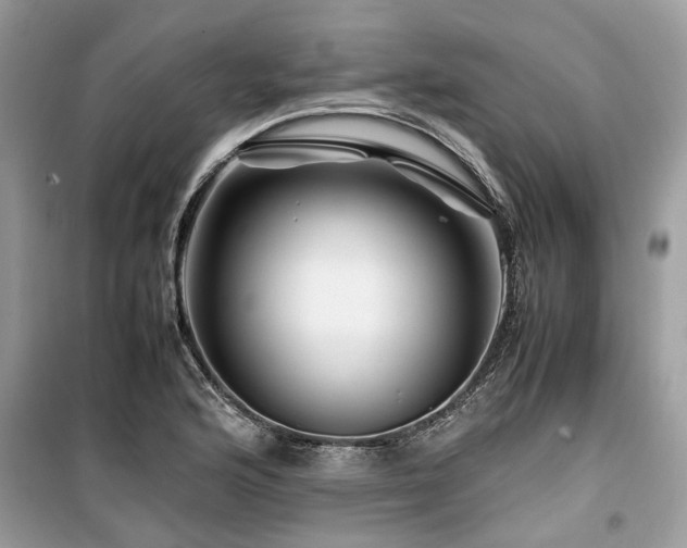 X0000099571176200805161510
