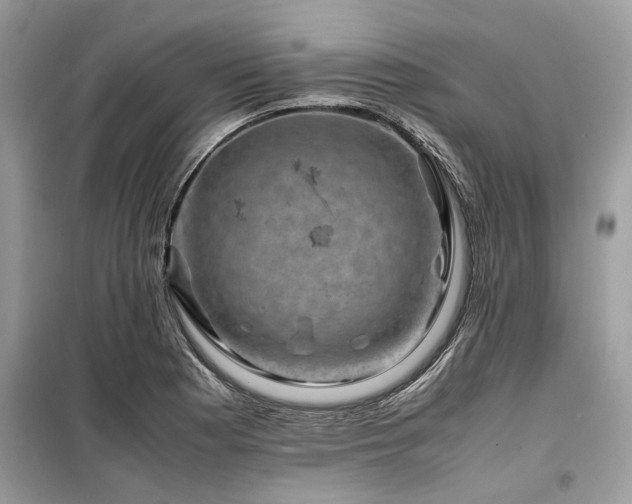 X0000099571177200805161510