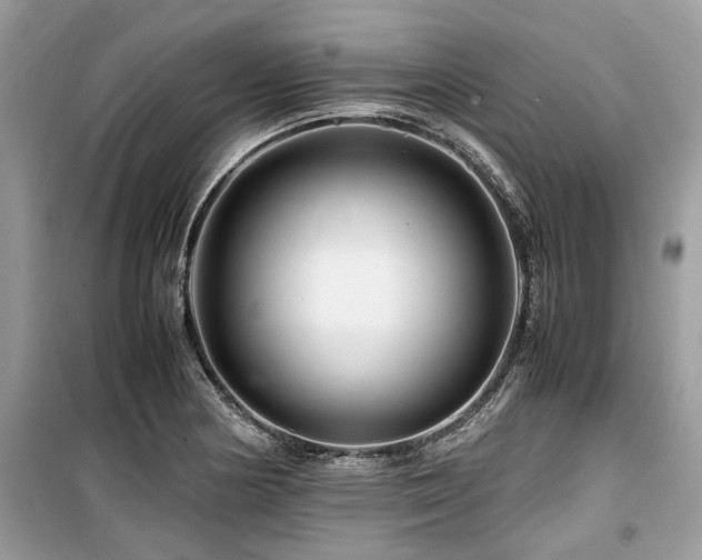 X0000099571178200805161510