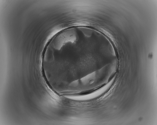 X0000099571179200805161510