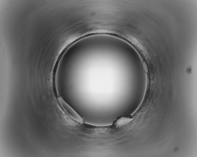 X0000099571181200805161510