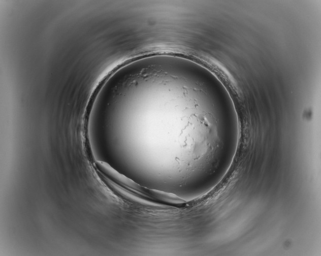 X0000099571182200805161510