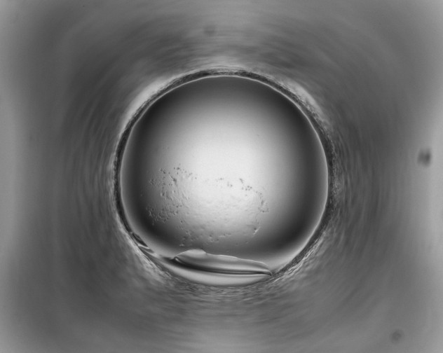 X0000099571183200805161509