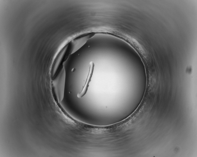 X0000099571184200805161509