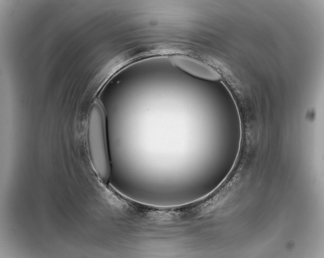 X0000099571185200805161509
