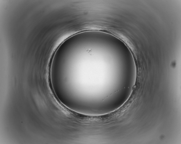 X0000099571187200805161509
