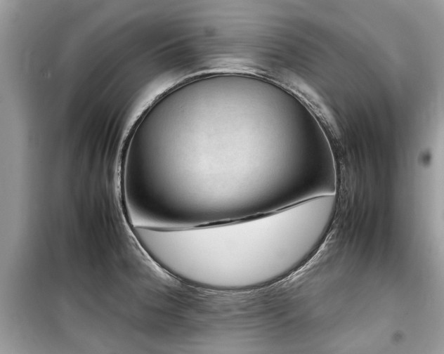 X0000099571188200805161509