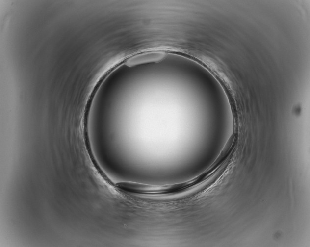 X0000099571189200805161509
