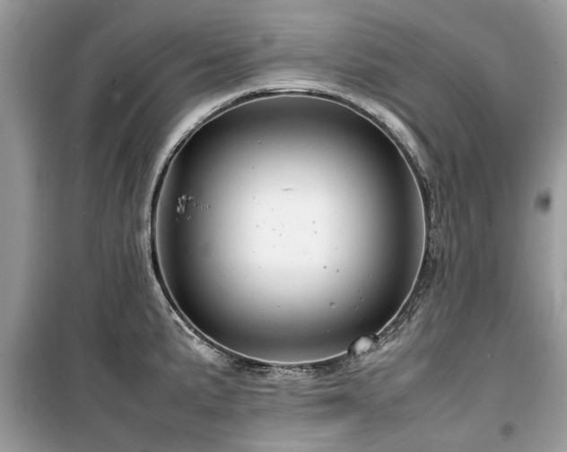 X0000099571191200805161509